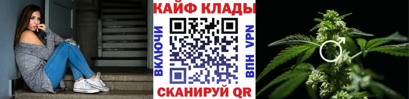 Купить наркотик Навашино Конопля  Галлюциногенные грибы  Меф мяу мяу  MDMA  Альфа ПВП 