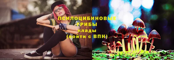 эйфоретик Бородино