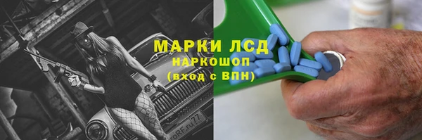 эйфоретик Бородино