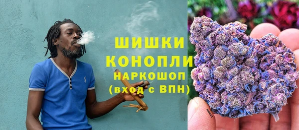 МДПВ Бронницы